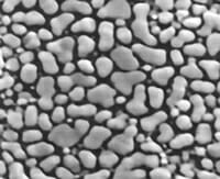 Medium Resolution Au-C Test on JEOL Stub