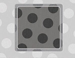 quantifoil R10/5