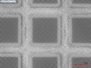 quantifoil R2/2