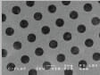 C-flat™ Holey Carbon Grids for TEM , CF-4/1-4Au , Gold only