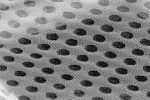 C-flat™ Holey Carbon Grids for TEM , CF-4/2-4Au , Gold only
