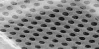 C-flat™ Holey Carbon Grids for TEM , CF-4/2-4Au , Gold only