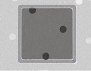 Quantifoil R5/20