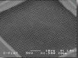 C-flat™ Holey Carbon Grids for TEM , CF-1/1-2Au , Gold only