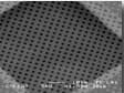 C-flat™ Holey Carbon Grids for TEM , CF-2/2-4Au , Gold only