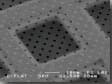 C-flat™ Holey Carbon Grids for TEM , CF-2/4-4Au , Gold only