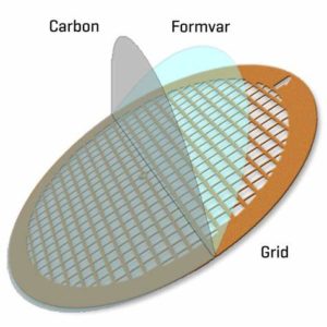 Formvar/Carbon Square Mesh Standard Thickness