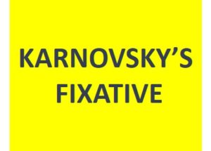Karnovsky's Fixative