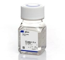 Poly-L-Lysine Hydrobromide 70,000-150,000
