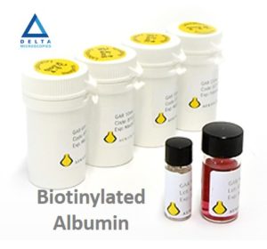 Biotinylated Albumin