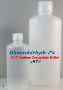 Glutaraldehyde 2% in 0.1M Sodium Cacodylate Buffer, pH 7.4