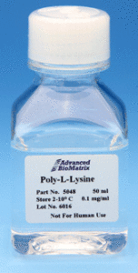 Poly-L-Lysine Hydrobromide 30,000-70,000
