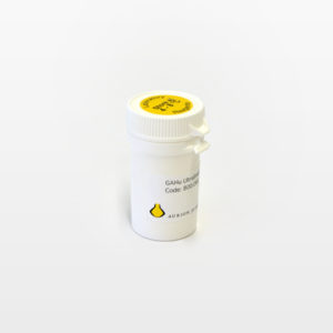 Goat-anti-Human IgG (H&L)