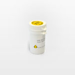 Goat-anti-Rabbit IgG (H&L)