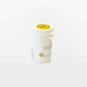 Goat-anti-Rat IgG (H&L)