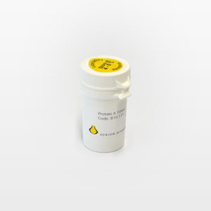 Protein A