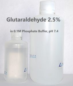 Glutaraldehyde 2.5% in 0.1M Phosphate Buffer, pH 7.4