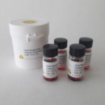 Gold Nanoparticles – Carboxyl Functionalized