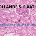 Hollande's Fixative - Bulk packaging