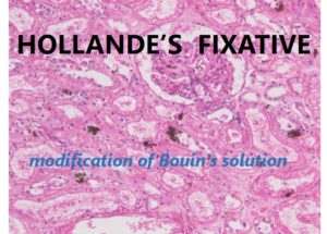Hollande's Fixative - Bulk packaging