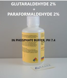 Glutaraldehyde + 2% Paraformaldehyde 2% in Phosphate Buffer, pH 7.4