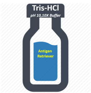 Tris HCl Buffer, pH 10.0 (10x)