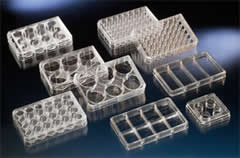 MultiDishes ®Surface