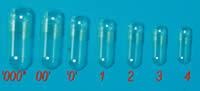 Capsules; Gelatin