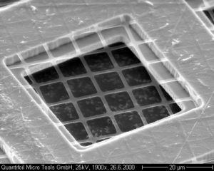 quantifoil