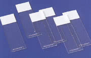 Polysine™ Microscope Adhesion Slide