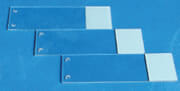 Adhesion Slides