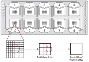 Quick-Read™ Microscope Slide