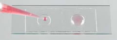Microscope Slide-Wells