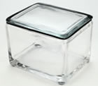 Glass Staining Dishes