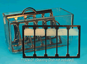Glass Slide Processing Holder