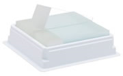 Millennia™ 2.0 Adhesion Slides, 75 x 25 mm