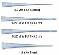 Gel Loading Tips