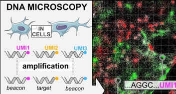 DNA microscopy