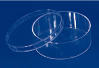 Round Boxes
