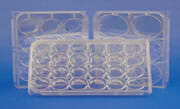 Costar® Brand Cell Culture Clusters