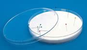 Dissecting Dish