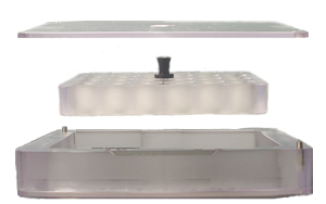 24 Meshwell Plate with Tray and Lid