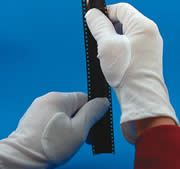 Cotton Gloves